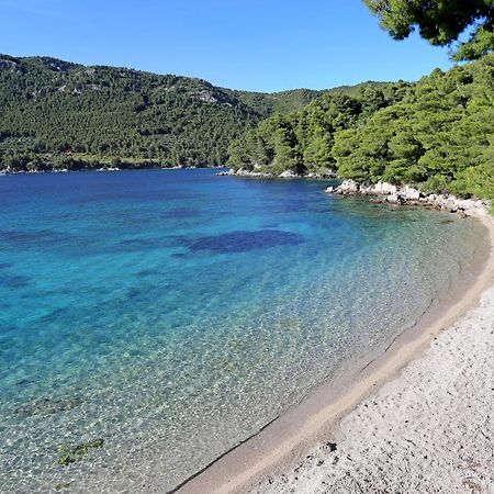 Apartments With A Parking Space Zuljana, Peljesac - 4573 ภายนอก รูปภาพ