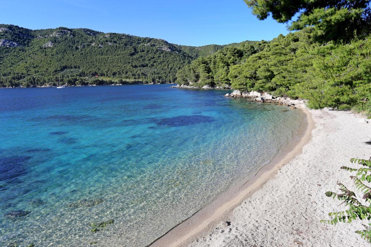 Apartments With A Parking Space Zuljana, Peljesac - 4573 ภายนอก รูปภาพ